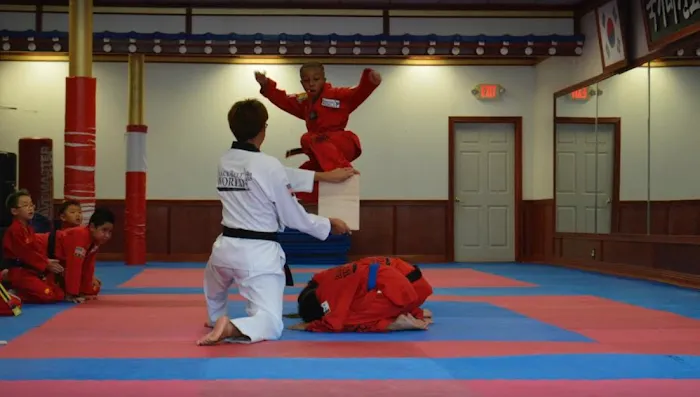 Black K Taekwondo Picture 3