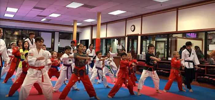 Black K Taekwondo Picture 4