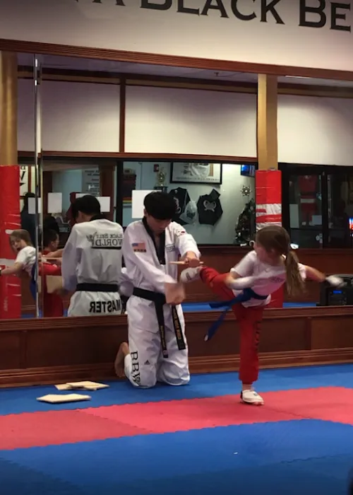 Black K Taekwondo Picture 6