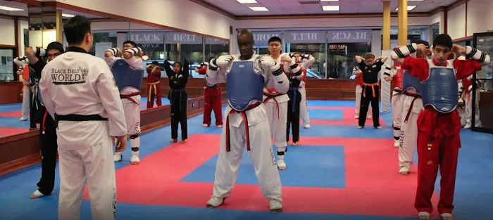 Black K Taekwondo Picture 8