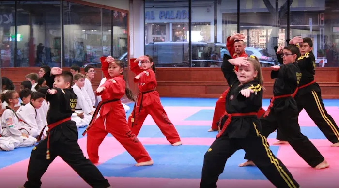 Black K Taekwondo Picture 9