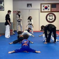 US National Taekwondo Academy LLC ico