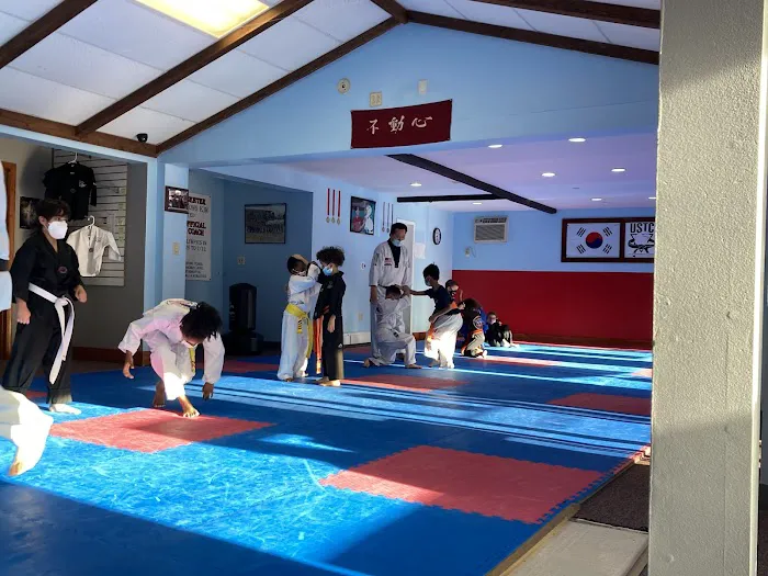 US National Taekwondo Academy LLC Picture 3