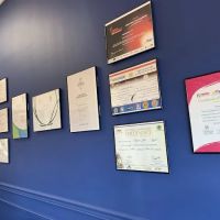 World Olympic Martial Arts ico