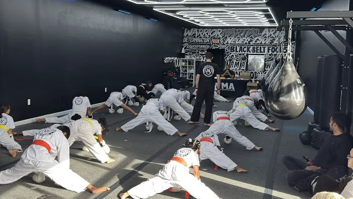 Warrior Martial Arts South Plainfield, NJ Picture 4