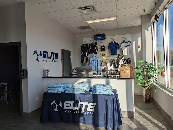Elite Martial Arts Academy Picture 4
