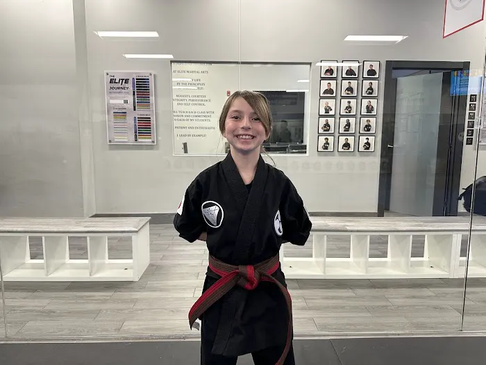 Elite Martial Arts Academy Picture 2