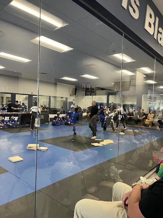 Elite Martial Arts Academy Picture 5