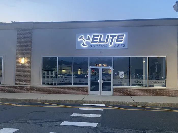 Elite Martial Arts Academy Picture 6