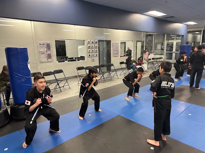 Elite Martial Arts Academy Picture 8