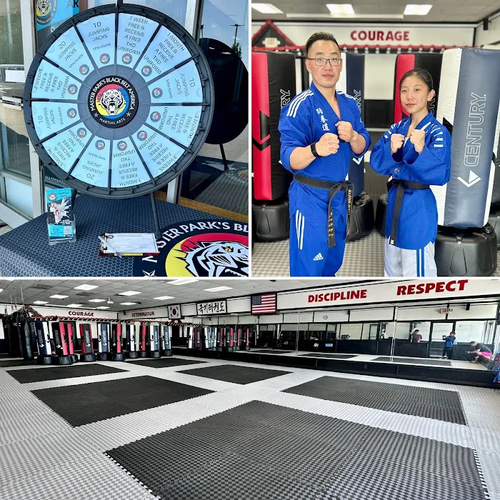 Master Park's Black Belt America Edison Picture 7