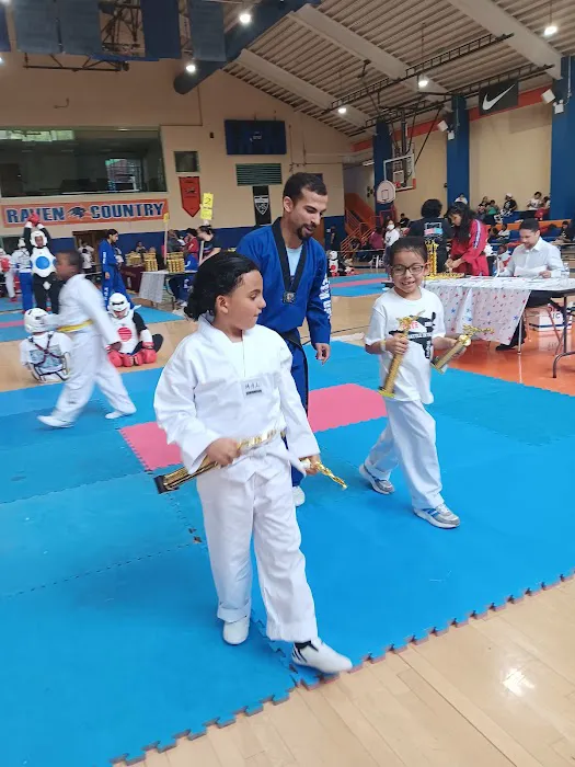 Team Prospect Martial Arts Picture 2