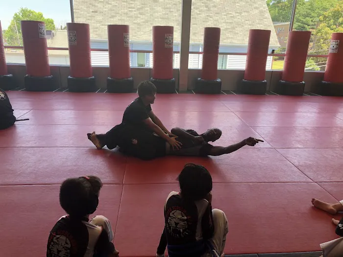 Tiger Schulmann's Martial Arts (Englewood, NJ) Picture 1