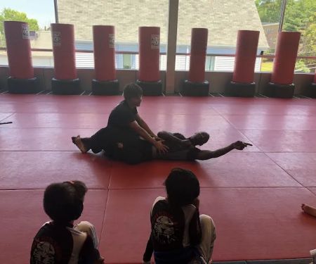 Tiger Schulmann's Martial Arts (Englewood, NJ)