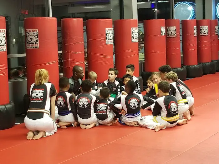 Tiger Schulmann's Martial Arts (Englewood, NJ) Picture 5