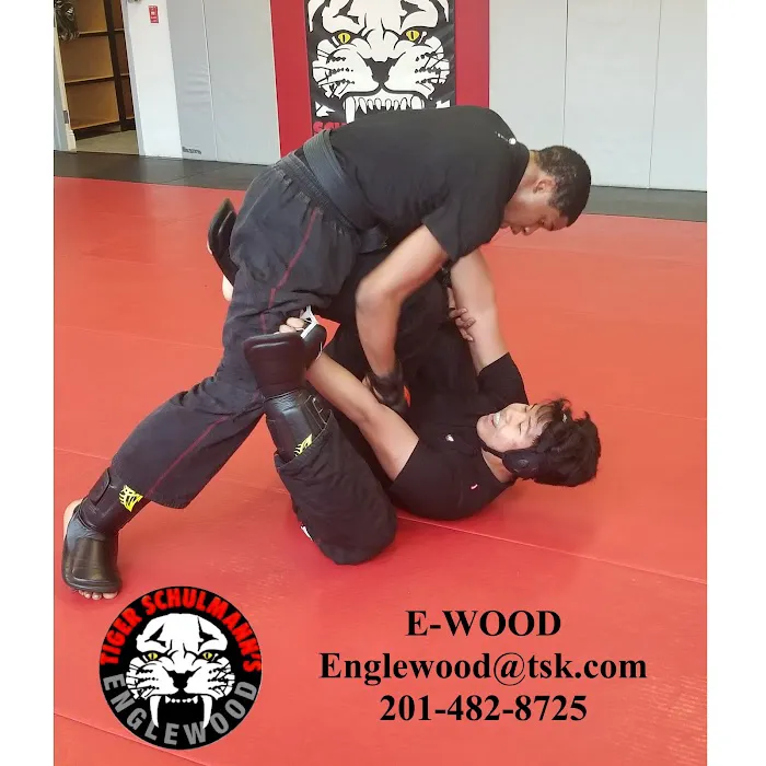 Tiger Schulmann's Martial Arts (Englewood, NJ) Picture 3