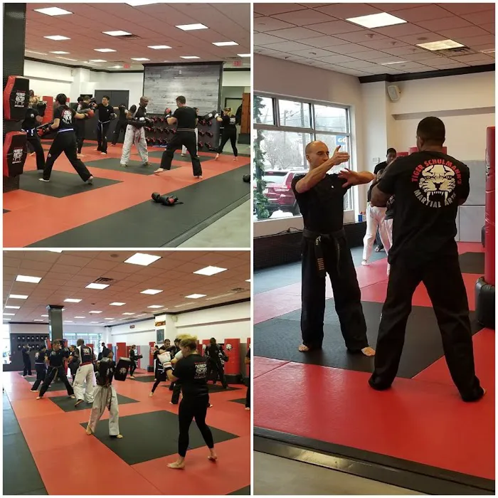 Tiger Schulmann's Martial Arts (Englewood, NJ) Picture 6