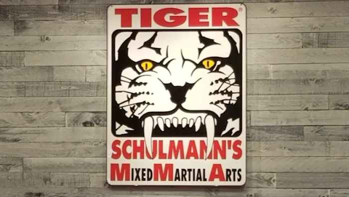 Tiger Schulmann's Martial Arts (Englewood, NJ) Picture 7