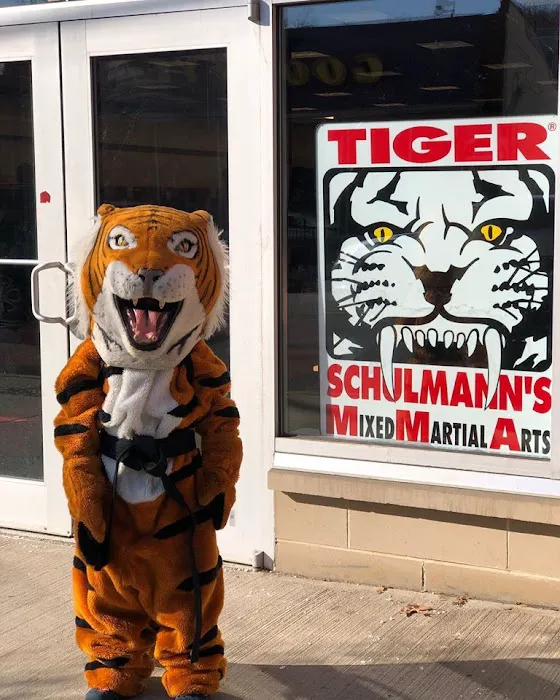 Tiger Schulmann's Martial Arts (Englewood, NJ) Picture 8