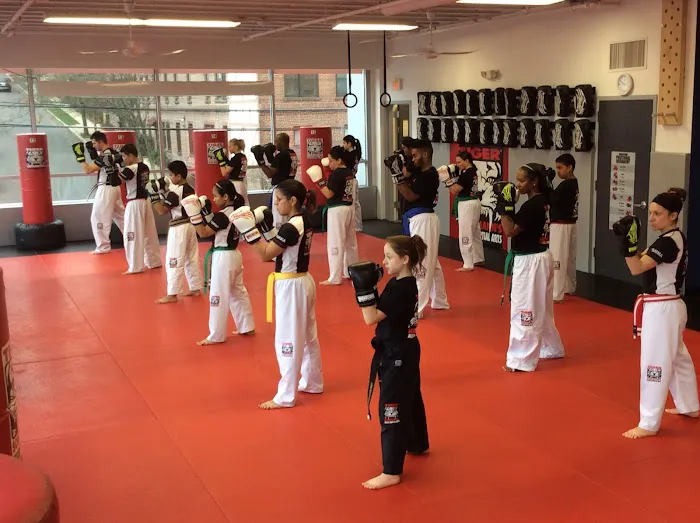 Tiger Schulmann's Martial Arts (Englewood, NJ) Picture 10