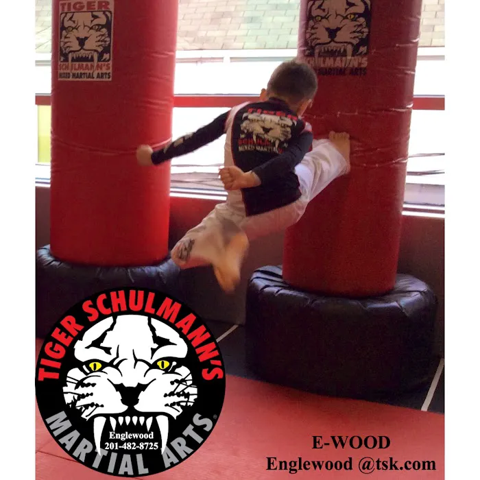 Tiger Schulmann's Martial Arts (Englewood, NJ) Picture 9