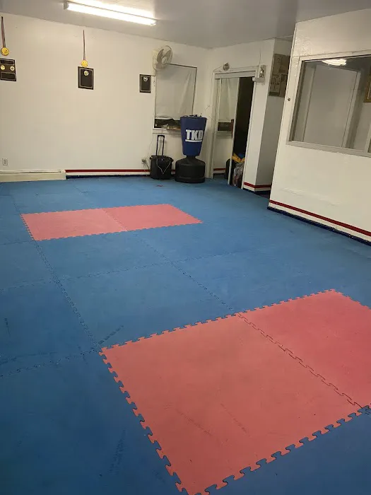 Ortiz Martial Arts Picture 4