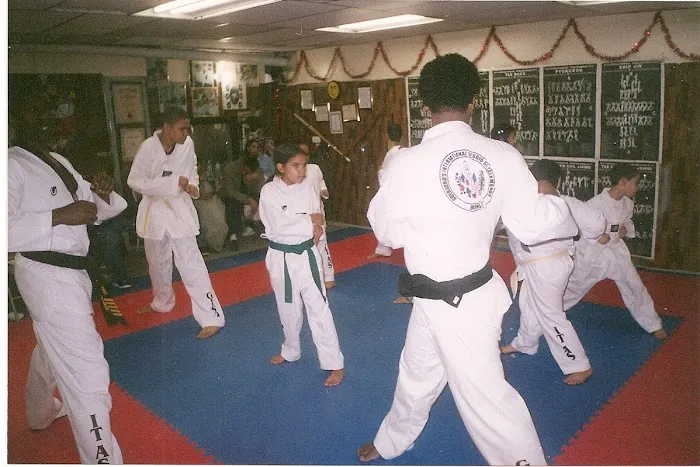 GUERRERO`S INTERNATIONAL STUDIO OF TAEKWONDO (GIST) Picture 5