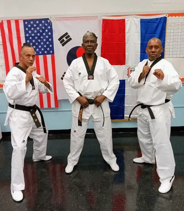 GUERRERO`S INTERNATIONAL STUDIO OF TAEKWONDO (GIST) Picture 9