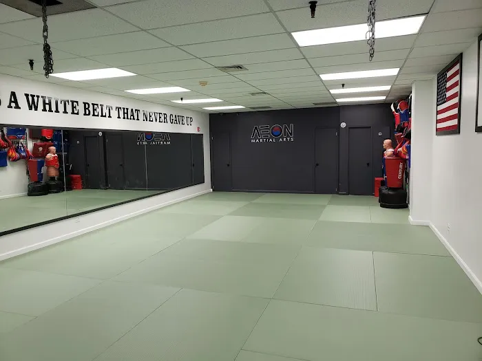 Aeon Martial Arts - Flushing Picture 5