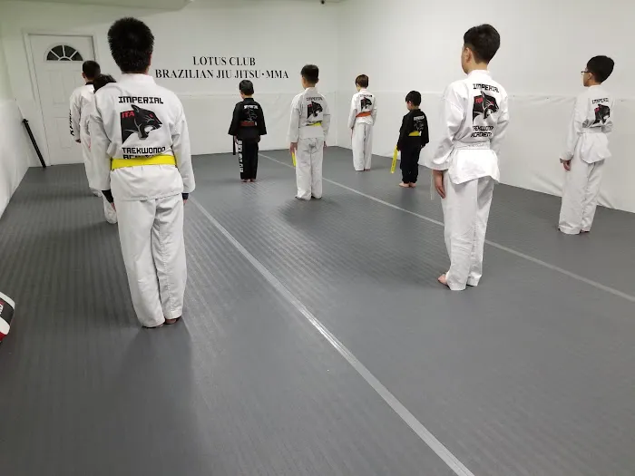 Lotus Jiu jitsu Flushing Picture 1