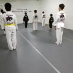 Lotus Jiu jitsu Flushing