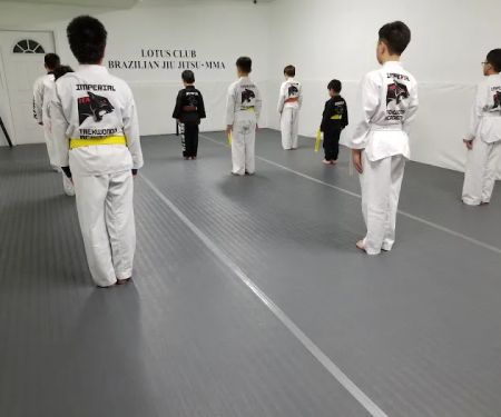 Lotus Jiu jitsu Flushing