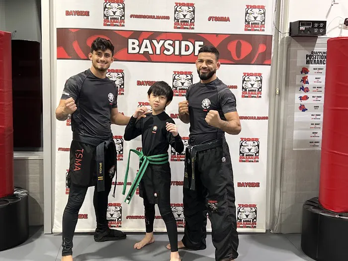 Tiger Schulmann's Martial Arts (Bayside, NY) Picture 2