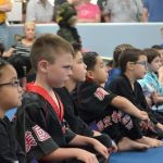 AmeriKick Martial Arts Fresh Meadows
