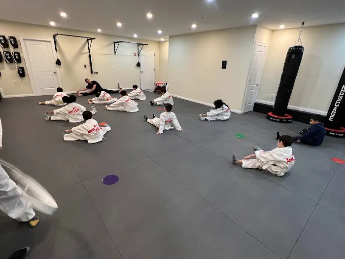 AmeriKick Martial Arts Fresh Meadows Picture 2