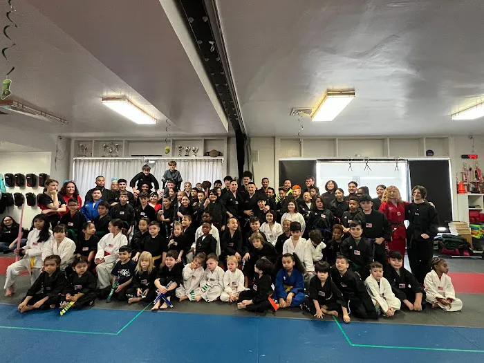AmeriKick Martial Arts Fresh Meadows Picture 7
