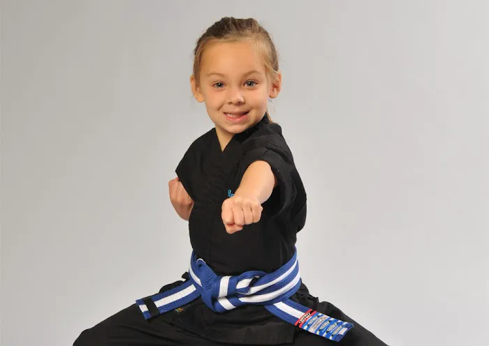 AmeriKick Martial Arts Fresh Meadows Picture 8