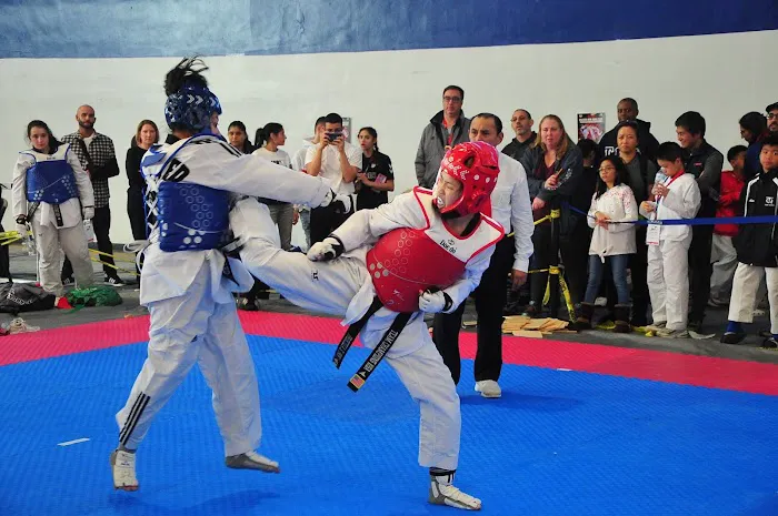Champions Martial Arts Little Neck Picture 6