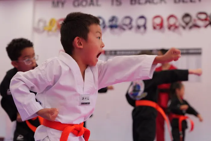 Champions Martial Arts Little Neck Picture 10