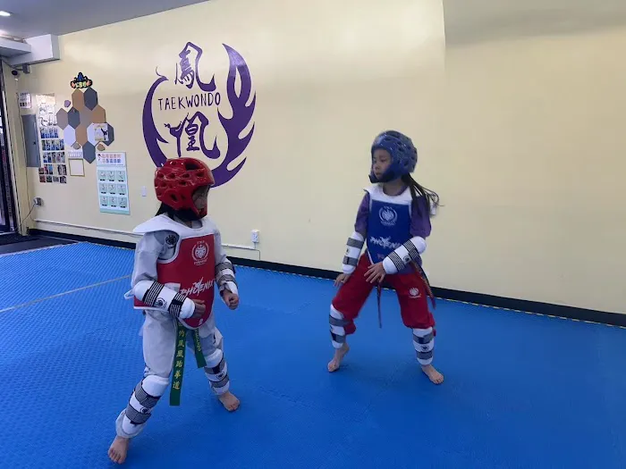 New York Phoenix Taekwondo Center - Little Neck Branch Picture 3