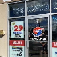 Master Taekwondo ico