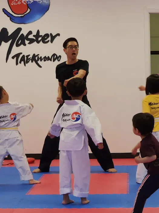 Master Taekwondo Picture 2