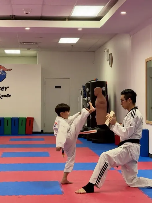 Master Taekwondo Picture 3
