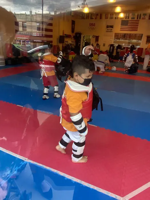 Team US Taekwondo Martial Arts Picture 3