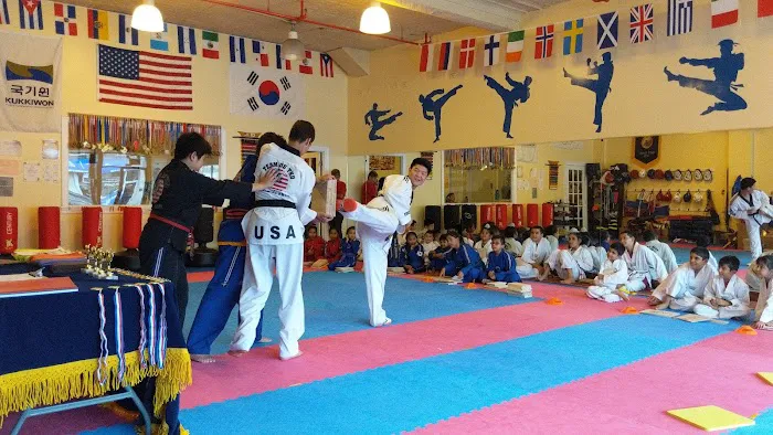 Team US Taekwondo Martial Arts Picture 8