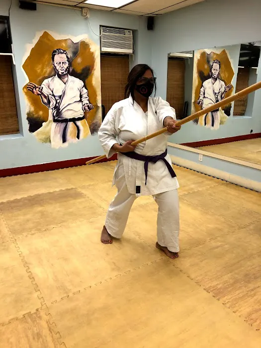 SHINTAIKI-JI NY MARTIAL ARTS SCHOOL(IOGKF) Picture 3