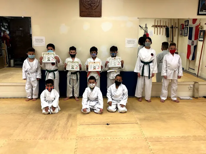 SHINTAIKI-JI NY MARTIAL ARTS SCHOOL(IOGKF) Picture 1