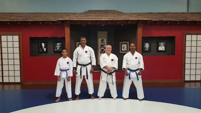 SHINTAIKI-JI NY MARTIAL ARTS SCHOOL(IOGKF) Picture 2