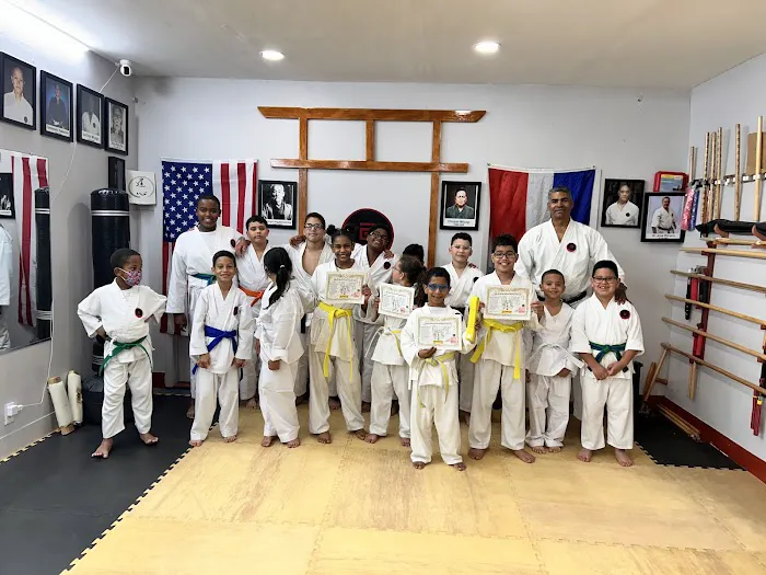 SHINTAIKI-JI NY MARTIAL ARTS SCHOOL(IOGKF) Picture 5