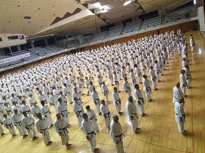 SHINTAIKI-JI NY MARTIAL ARTS SCHOOL(IOGKF) Picture 10